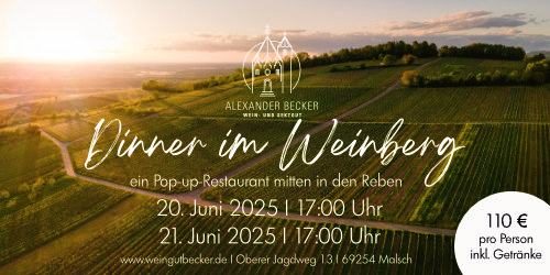 Dinner im Weinberg_2025_klein