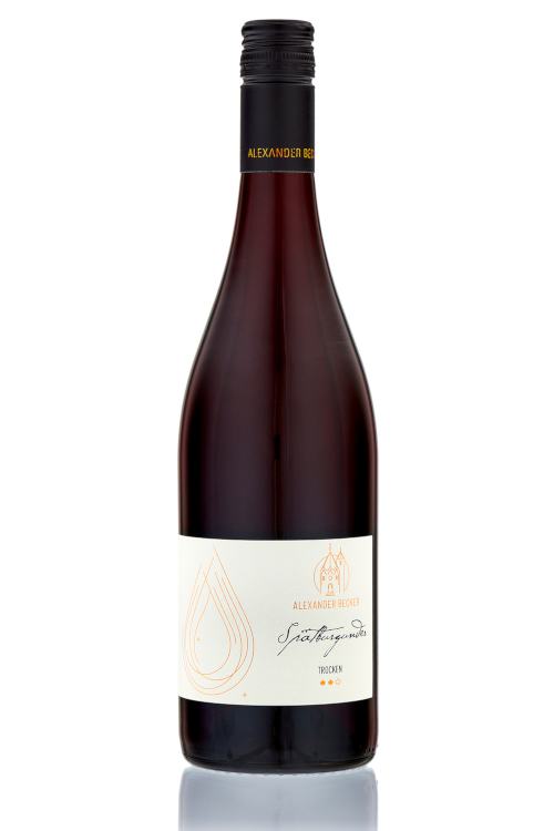 14_Spaetburgunder_Rotwein_shop